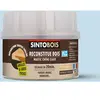 Reconstitue bois mastic chêne Sintobois chêne clair 500g