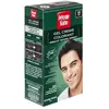 Petrole Hahn Crème Colorante Douce Sans Ammoniaque n°10 Noir