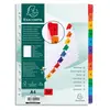 Exacompta Nature Future Intercalaire 12 positions pré-imprimé : 1-12 A...