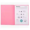 Exacompta Exacompta Paquet De 100 Sous-Chemises Super 60g 22x31cm Rose