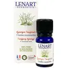 christian lénart - Synergie Tonifiante BIO ECOCERT 10 ml Diffuseurs et...
