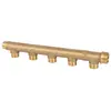Collecteur F1/2'' type A arrivée M3/4'' 6 départs M1/2'' - WATTS - 1405