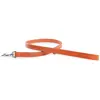Laisse double épaisseur cuir pour chien Martin Sellier Orange TU 30036...