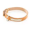 Martin Sellier COL Cuir PF Plaque 16-40CM