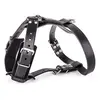 Martin Sellier Harnais Cuir 21/65 Noir