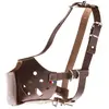 MARTIN Muselière American Staff Terrier - Cuir - Marron - Femelle - Taille 1