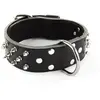 Collier pour chien clouté en cuir vachette Martin Sellier Noir 65 cm 3...