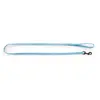 Laisse pour chien nylon Martin Sellier Safety Bleu 10/120 cm 3004301