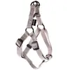 Martin Sellier : Baudrier Chien : Tour 35/50cm, Gris