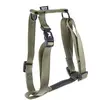 Harnais pour chien réglable classic nylon Martin Sellier S Vert 16x35/...