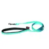 MARTIN SELLIER Laisse pour chien Confort en nylon turquoise 25mm