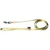 Laisse Nylon Confort 16-120 Turquoise - Martin Sellier