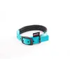 MARTIN SELLIER Collier droit Confort pour chien coloris turquoise - 2,5x55 cm