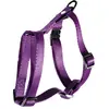 MARTIN SELLIER Harnais pour chien réglable en nylon mauve 14cm
