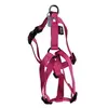 Martin Sellier - Harnais en Nylon Réglable de 10-25/35cm pour Chien - Rose