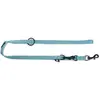 Laisse Chien - Martin Sellier Laisse d'entraînement 3 points Turquoise - 200 x 2 cm