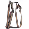 Harnais pour chien trio réglable nylon Martin Sellier L Orange 25x70/9...