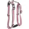 Harnais pour chien trio classic nylon Martin Sellier XS Gris 10x25/35 ...
