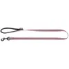 Laisse pour chien trio nylon Martin Sellier XS Gris 10/120 cm 3007291