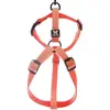 Harnais pour chien réglable nylon Martin Sellier XS Orange 10x25/35 cm...