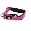 Martin Sellier COLL Rose 15MM/30-35CM Neo+