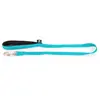 Martin Sellier Laisse Neo+ pour chien coloris bleu 2,5x100 cm