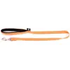 Laisse Chien - Martin Sellier Laisse Neo+ orange   2,5 x 100 cm