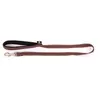 Laisse Chien - Martin Sellier Laisse Neo+ marron   2,5 x 100 cm