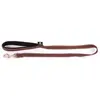 Laisse Neo+ pour chien coloris marron 1,5x100 cm