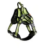 Harnais multisport pour chien ARKA orange - ARKA