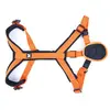Harnais pour chien nylon Martin Sellier Ccross Orange L 3008536