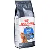 Royal Canin - Croquettes Light Weight Care pour Chat - 1,5Kg
