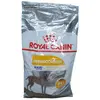 Royal Canin Maxi Dermaconfort pour Grande Chiens Peau Sensible | 12 KG