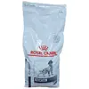 Royal Canin Veterinary Diet Canine Dental Medium & Large Dogs | 13 kg