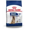 Maxi Adult 5+ Royal Canin. Croquettes chien adulte de grande taille.