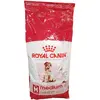 Croquettes royal canin medium adulte mature 7+ sac 15 kg