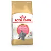 British shorthair chaton - sac de 2 kg (3182550816533) - Royal Canin