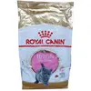 10kg Kitten British Shorthair Royal Canin Croquettes pour chat