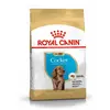 ROYAL CANIN COCKER JUNIOR sac de 3 kg/Croquettes pour chiot COCKER de 2 à 12 mois