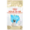 ROYAL CANIN Nourriture complète pour Chien Carlin Junior 1,5 kg