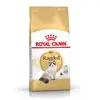 10kg Ragdoll Royal Canin Croquettes pour chat