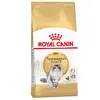 2kg Norvégien Royal Canin Croquettes pour chat