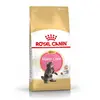 Royal Canin - Maine Coon Kitten nourriture sèche pour chat 10 kg