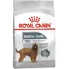 ROYAL CANIN Maxi Dental Care - 9 kg