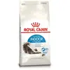 Royal Canin Indoor Long Hair Nourriture pour Chat 4 kg