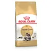 Royal Canin - Nourriture que Maine coon pour les chats adultes - 4kg