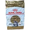 Fbn Maine Coon Nourriture sèche pour chat adulte - 10kg - Royal Canin
