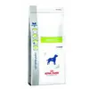ROYAL CANIN Croquettes pour chat Vdiet Diabetic - Sac de 1,5 kg