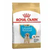 3kg Puppy Labrador Retriever Royal Canin Breed - Croquettes pour chiot