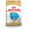 Royal Canin - Croquettes pour chien shn Race Labrador Junior - 12 kg